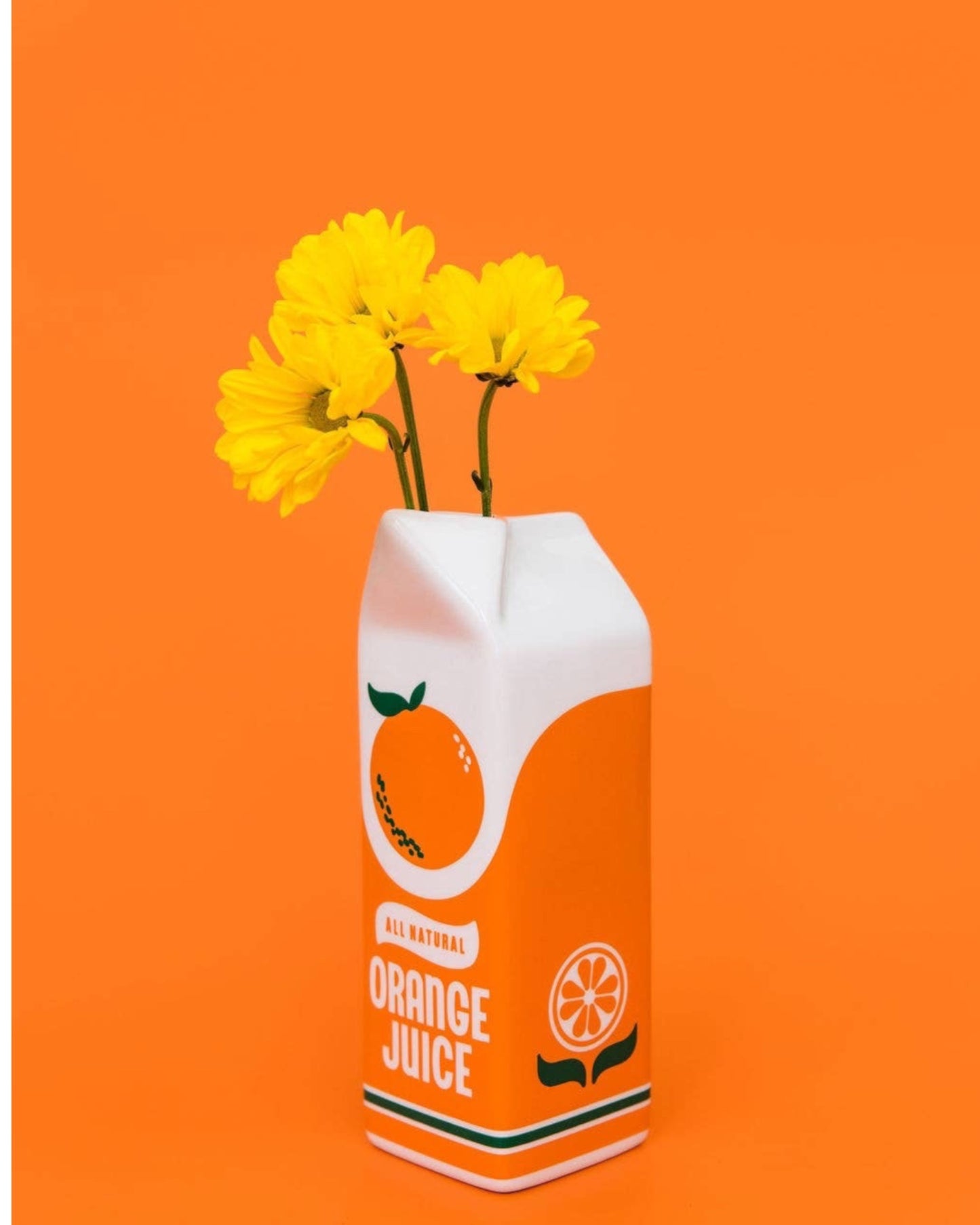 Rise and Shine Orange Juice Vase