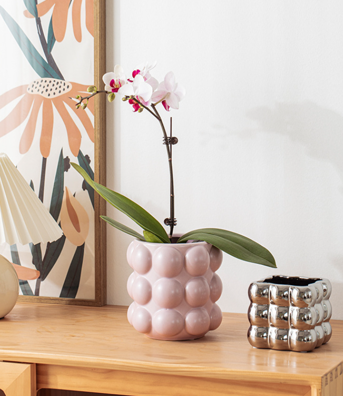 White Large Ceramic Bubble Planter