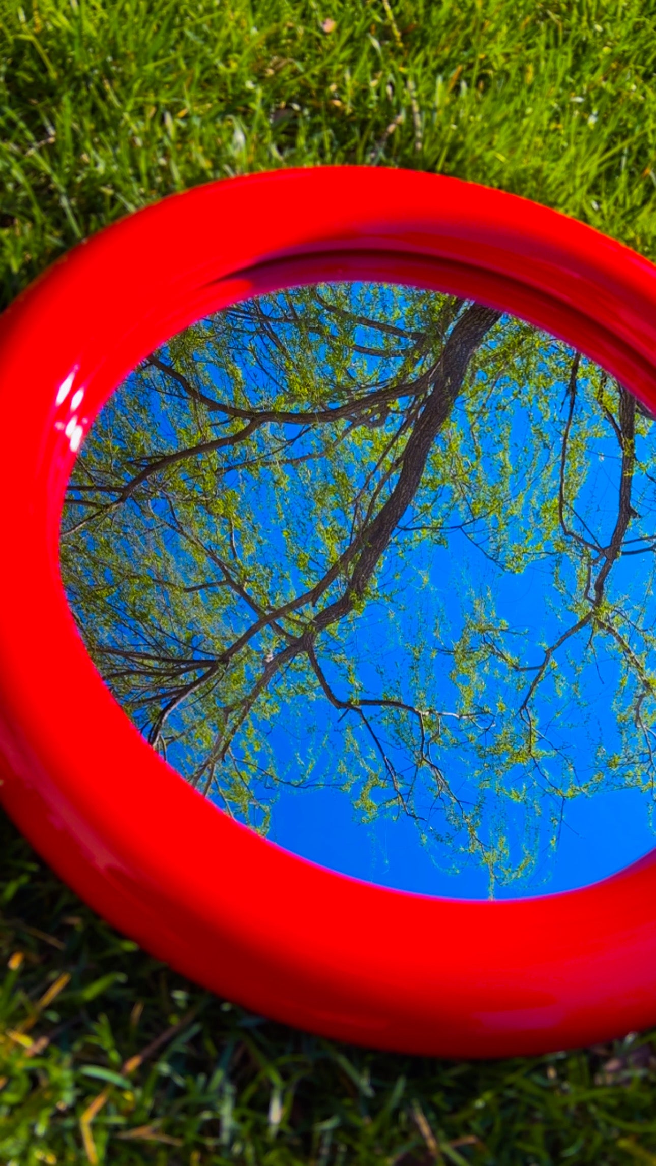 Duplum Mirror in Cherry Red