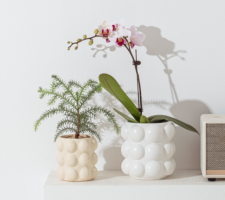 White Large Ceramic Bubble Planter